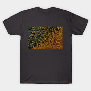 Colorful Lichen T-Shirt